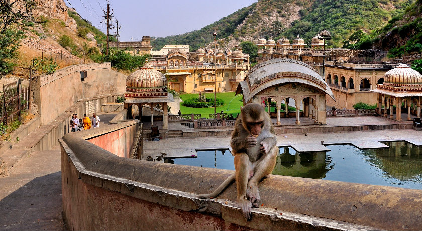 Jaipur